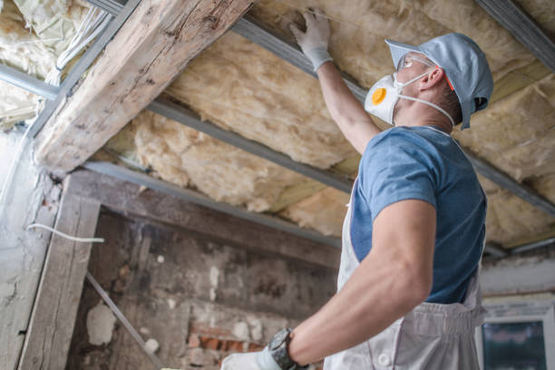 Best Insulation Maintenance and Repair in Delphi, IN