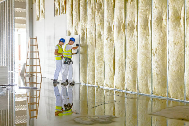 Best Residential Insulation in Delphi, IN